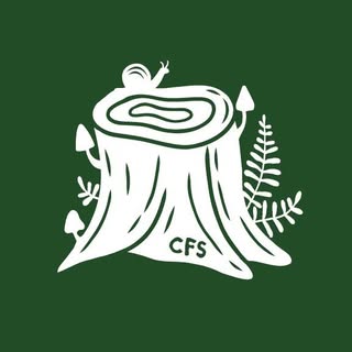 Camano Forest School