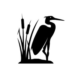 Camp Scugog Nature School