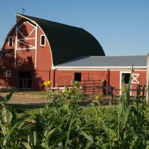 Farm & Nature Discovery Preschool