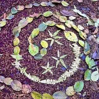 The Cedarsong Way