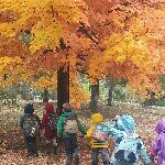 The Children's Garden Preschool