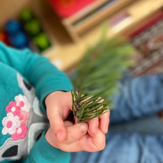 The Nature Preschool of Baltimore