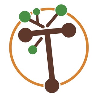 Treehoppers Forest Kindergarten