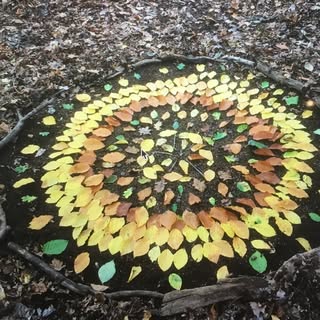 Wild Learning