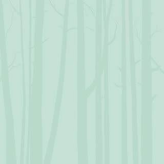 Wildwood Nature School