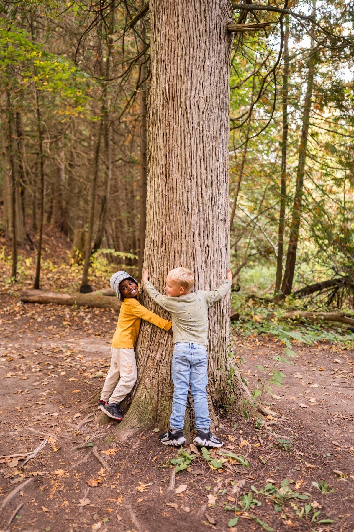 Eunoia Forest School