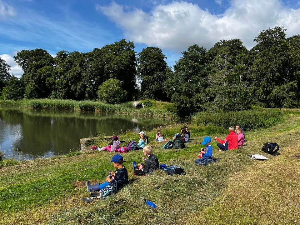 Forest School Ireland