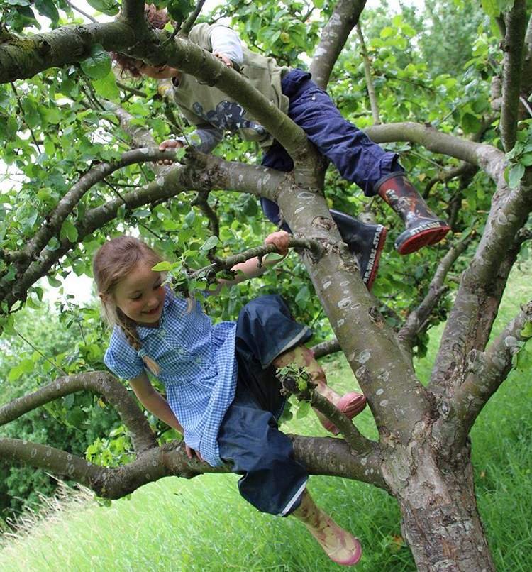 Forest School Learning Initiative