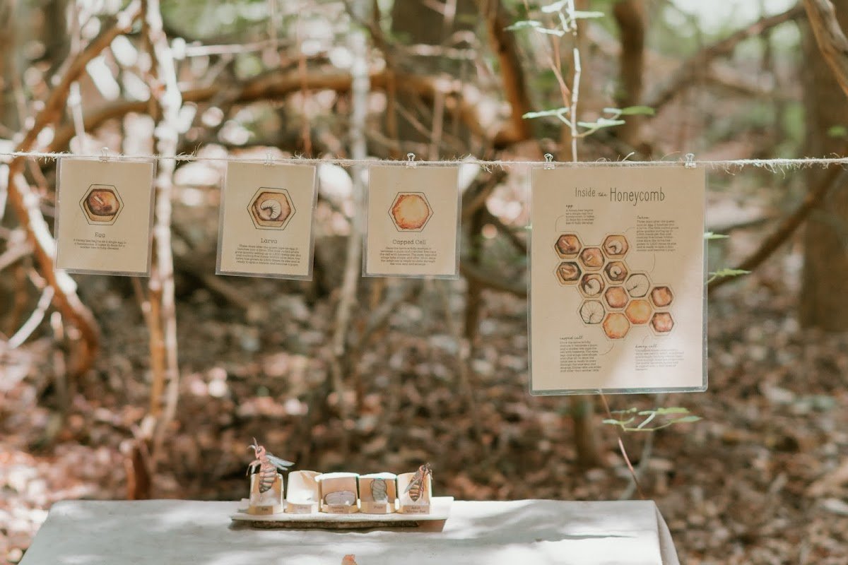 Golden Isles Nature School
