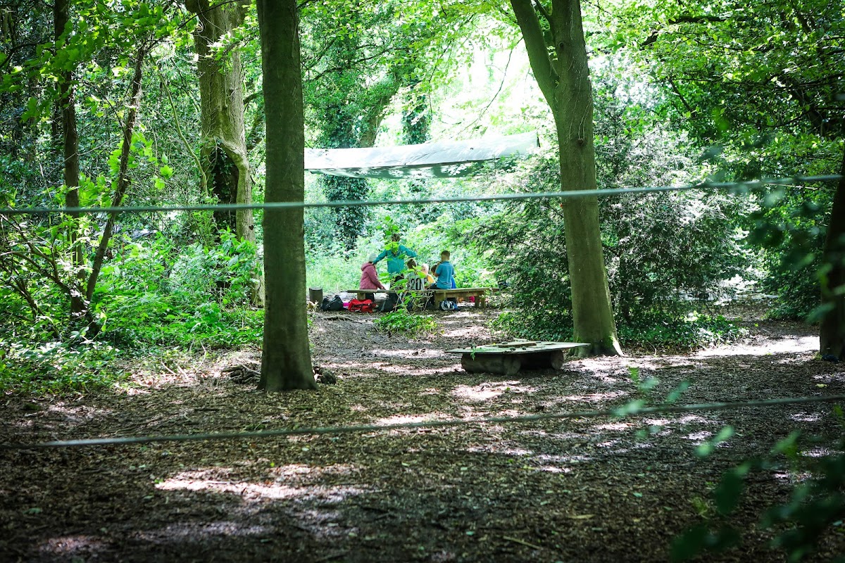 Grounded in Nature Forest School