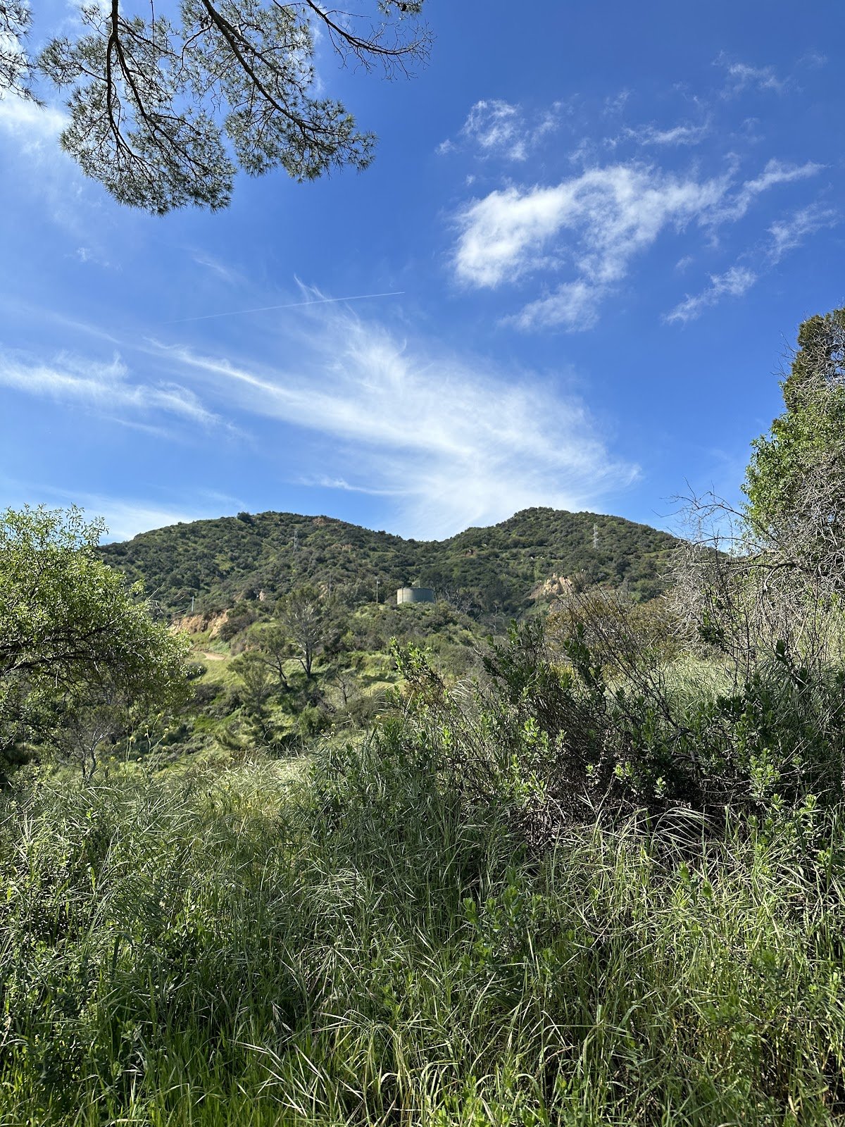 Heart Rock Forest School
