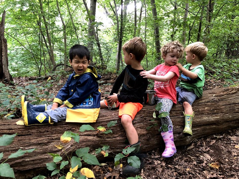 Kew Kids Forest School