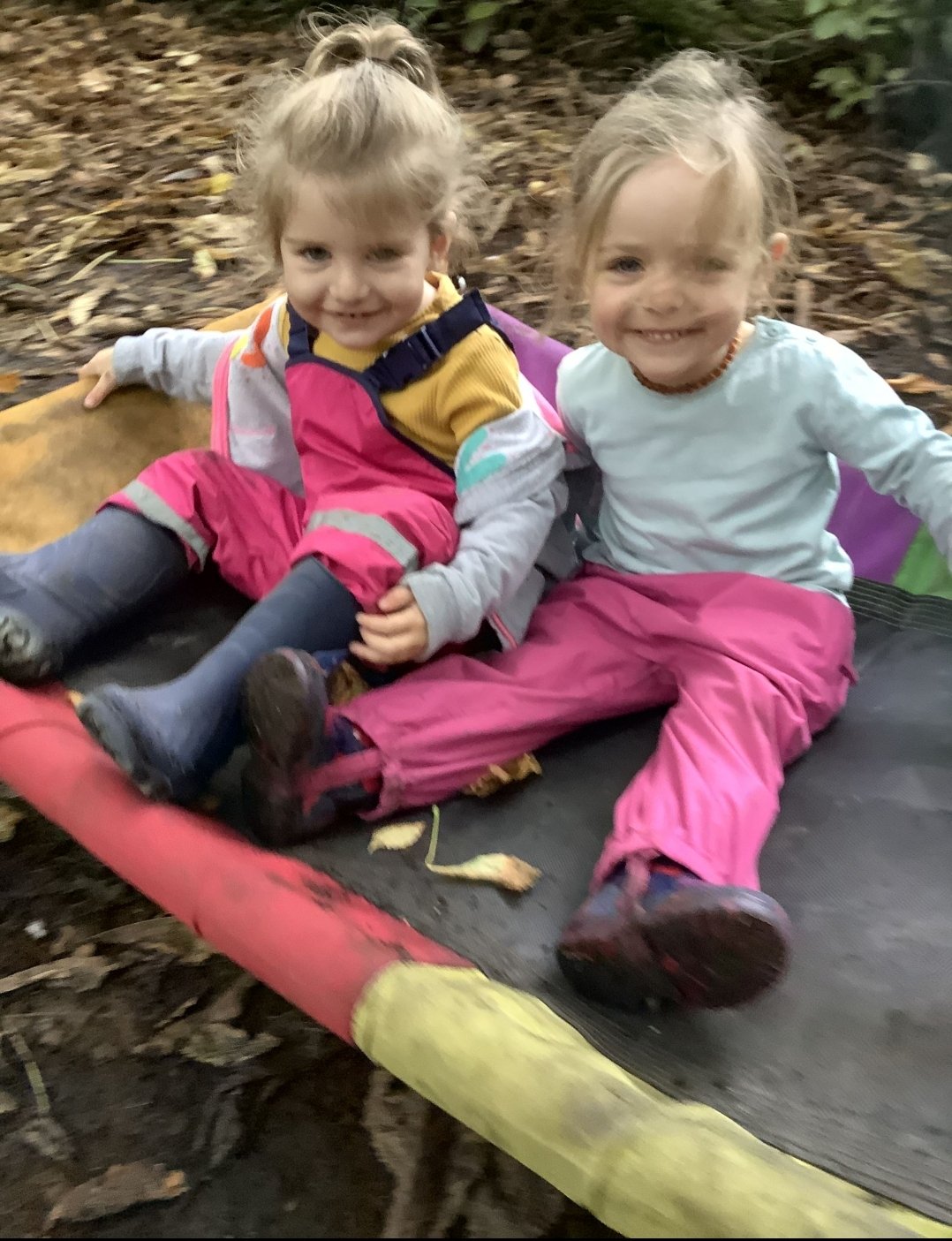 Kids Go Wild Forest School