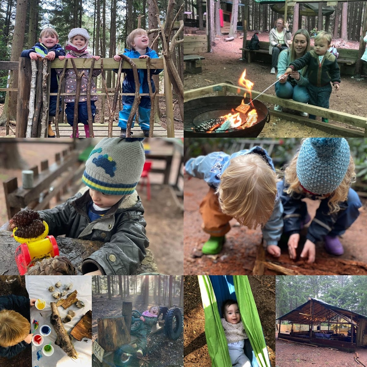 Little Forest Adventures