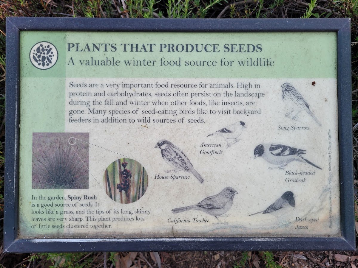 Nature School LA