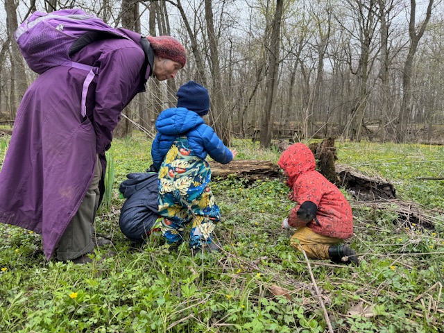 North Central Co-op Oak Leaf Forest School