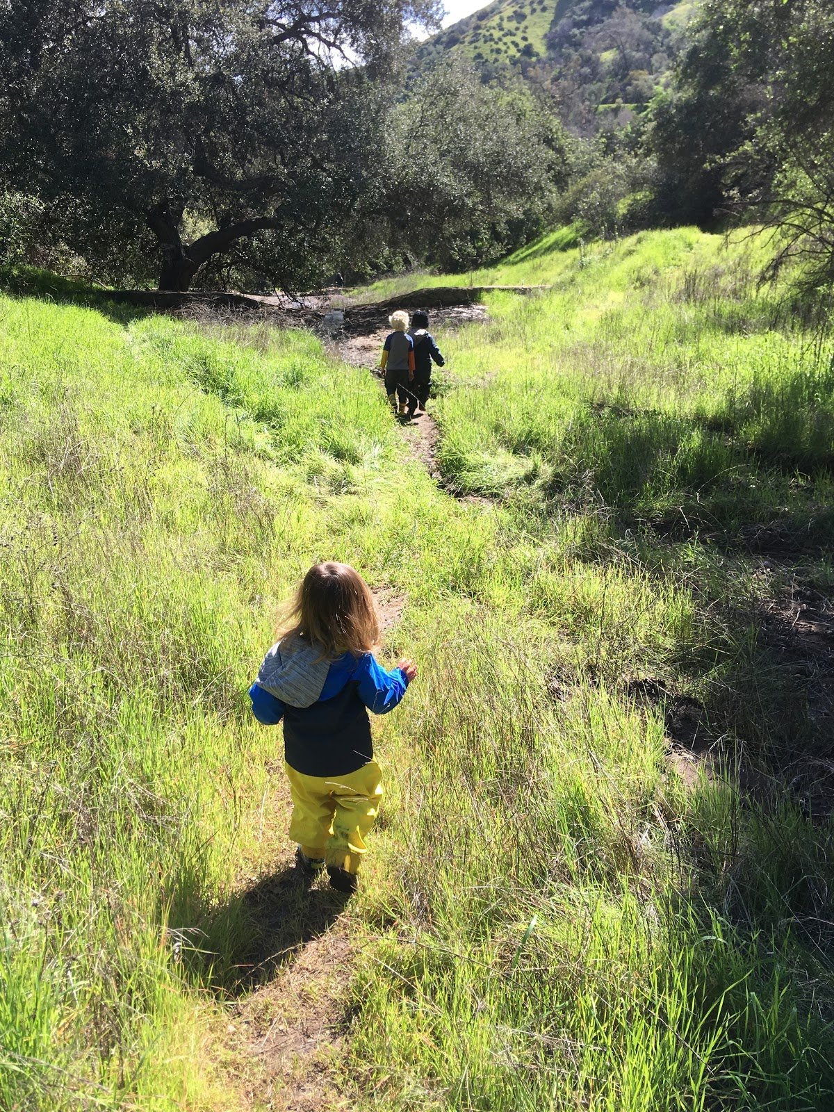 Northeast LA Forest School