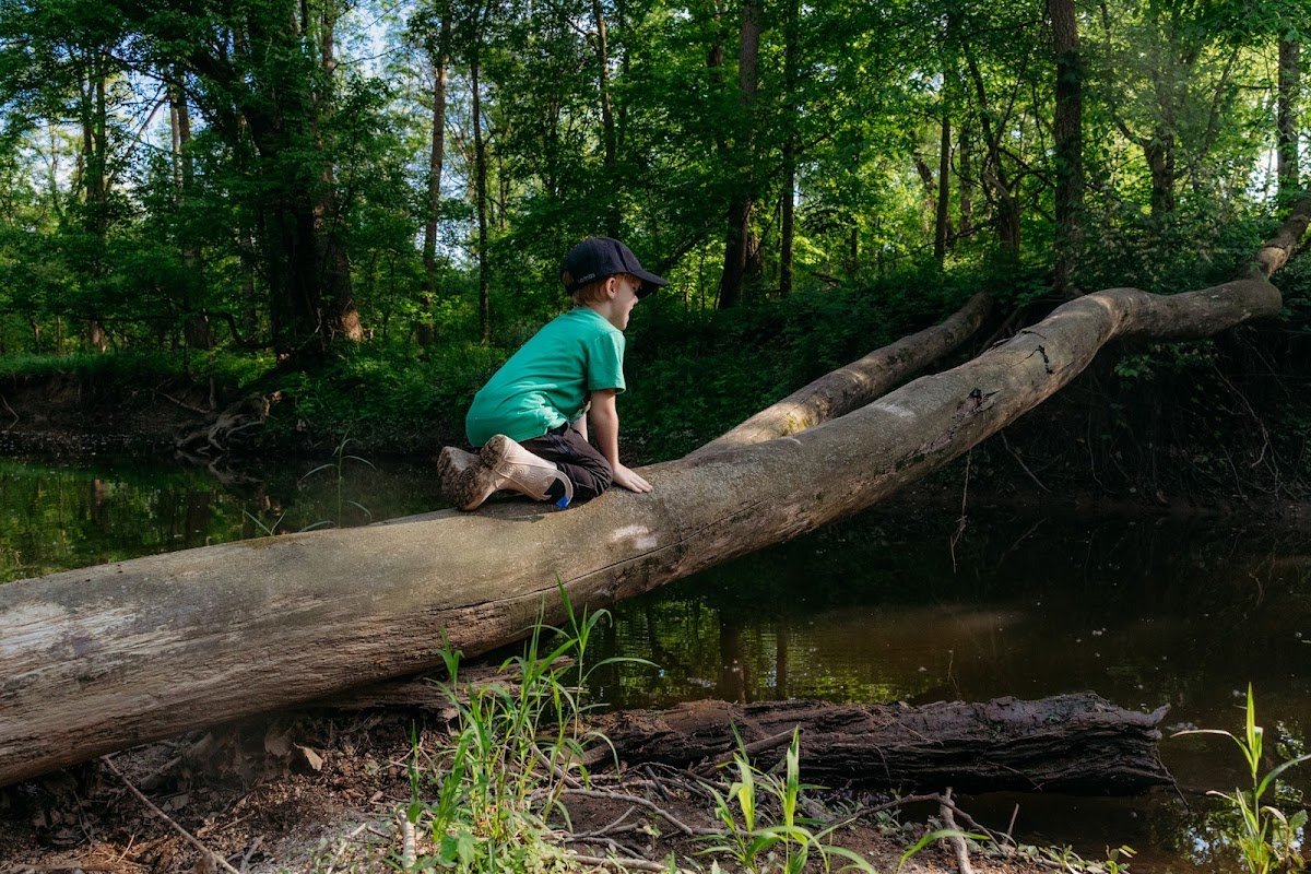Root & Bloom Forest School