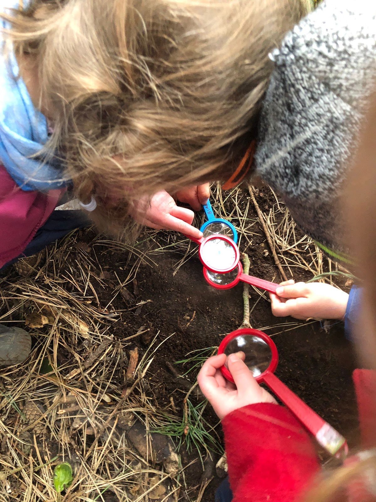 Sense of Wonder Forest School