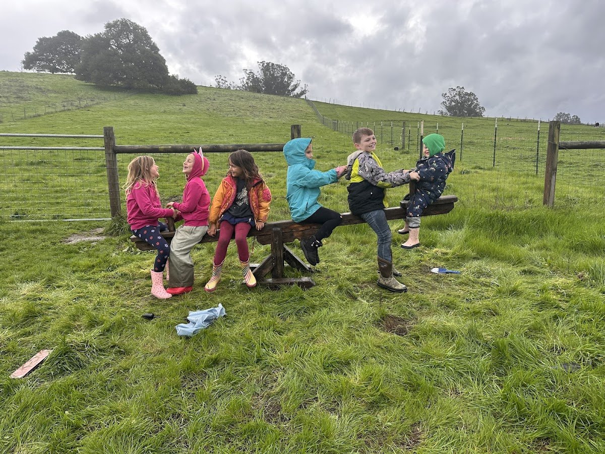 Sunbeam Nature School