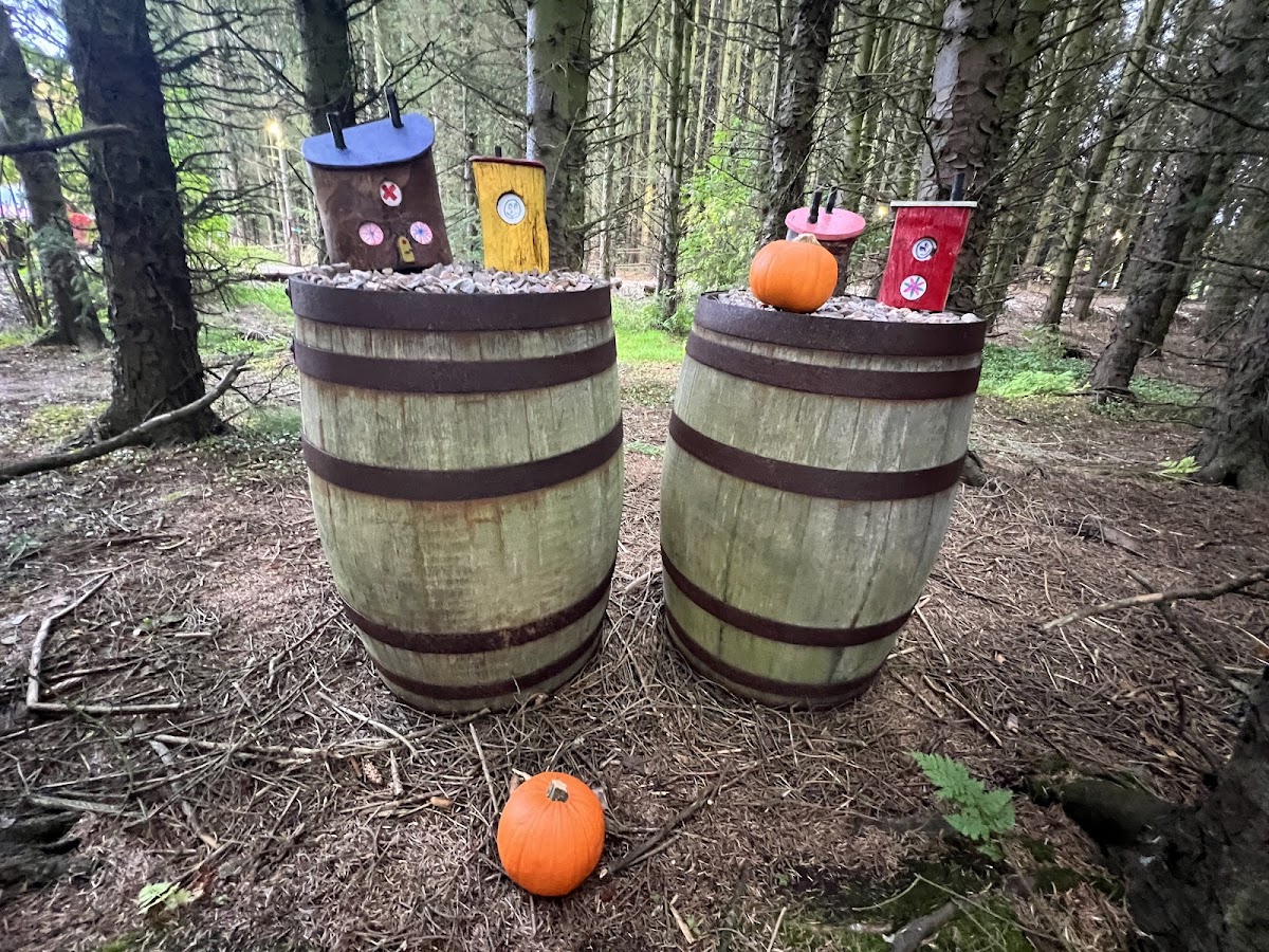 The Fairy Woods at Fedderate