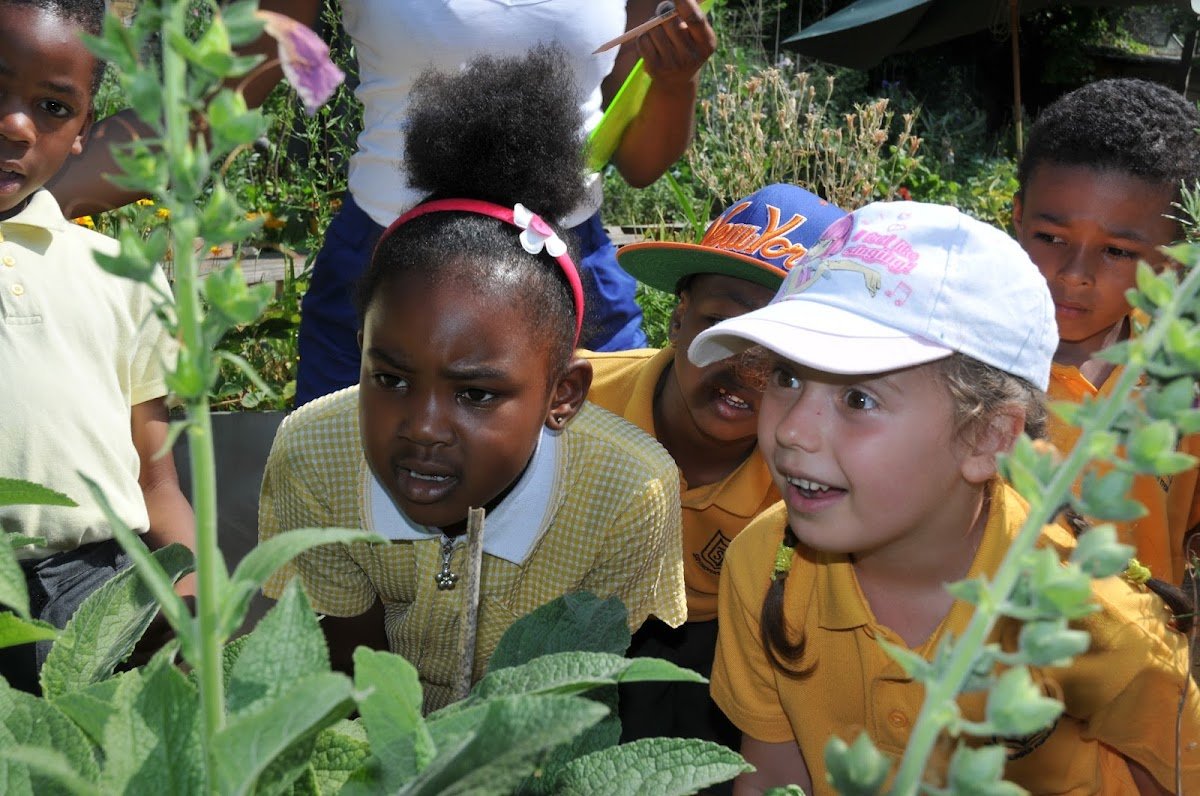 The Garden Classroom