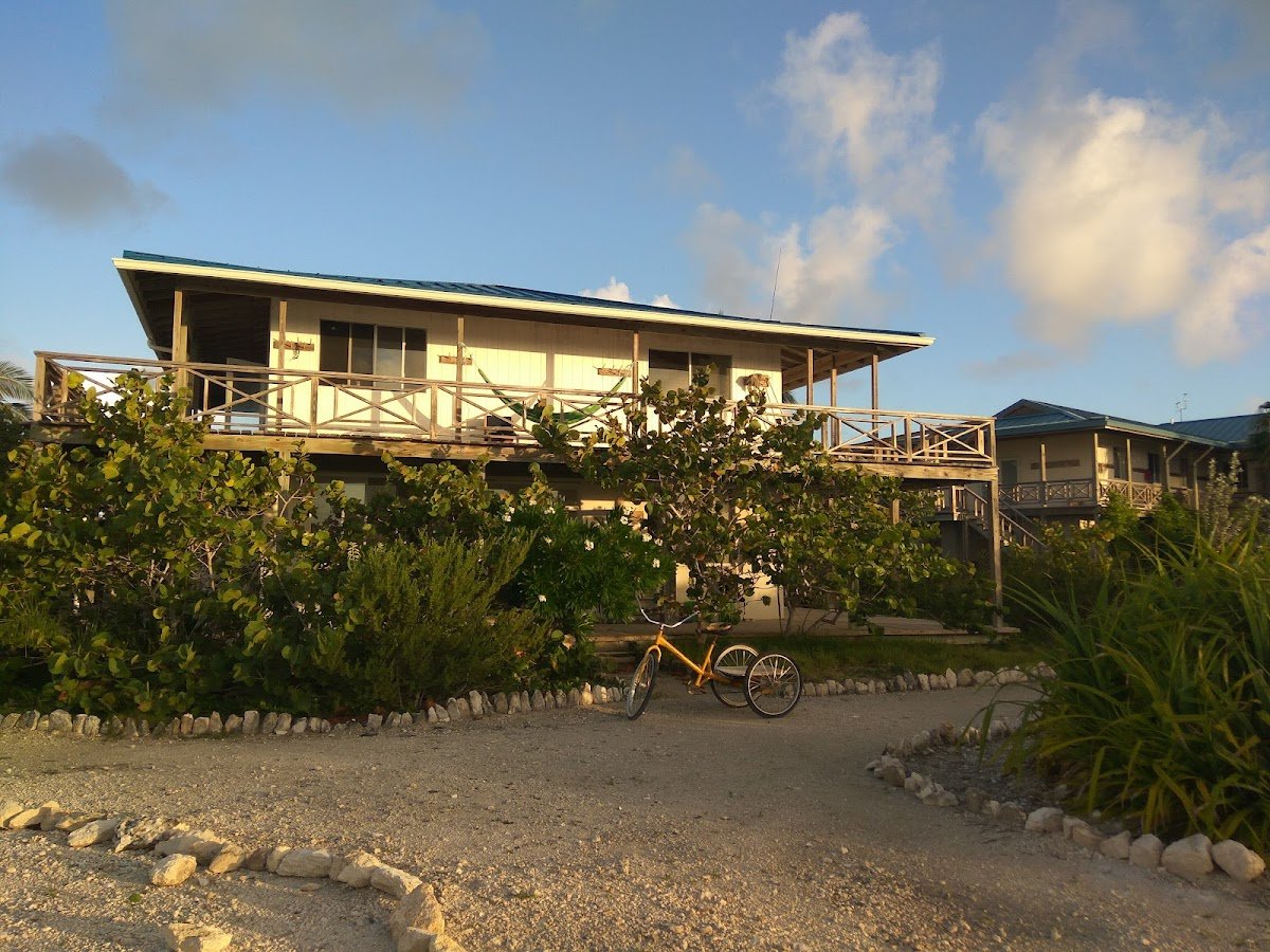 The Island School