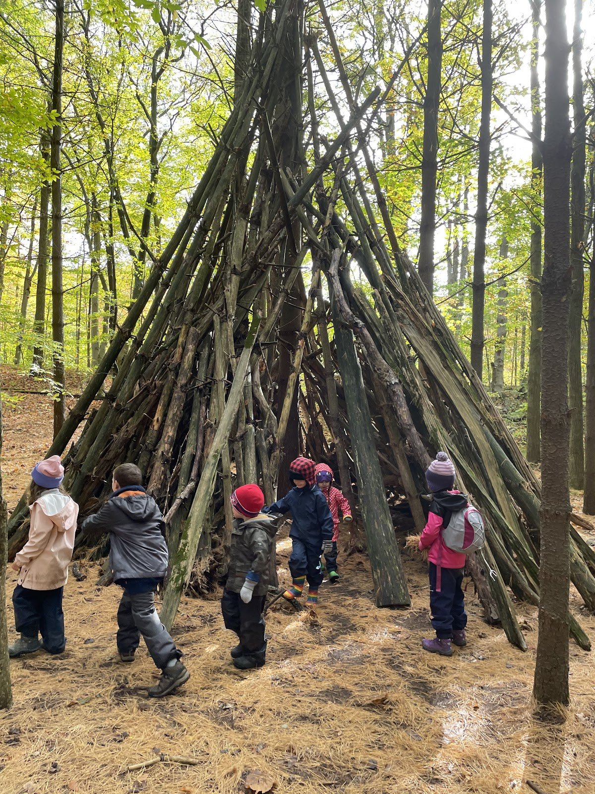 Walnut Forest Academy