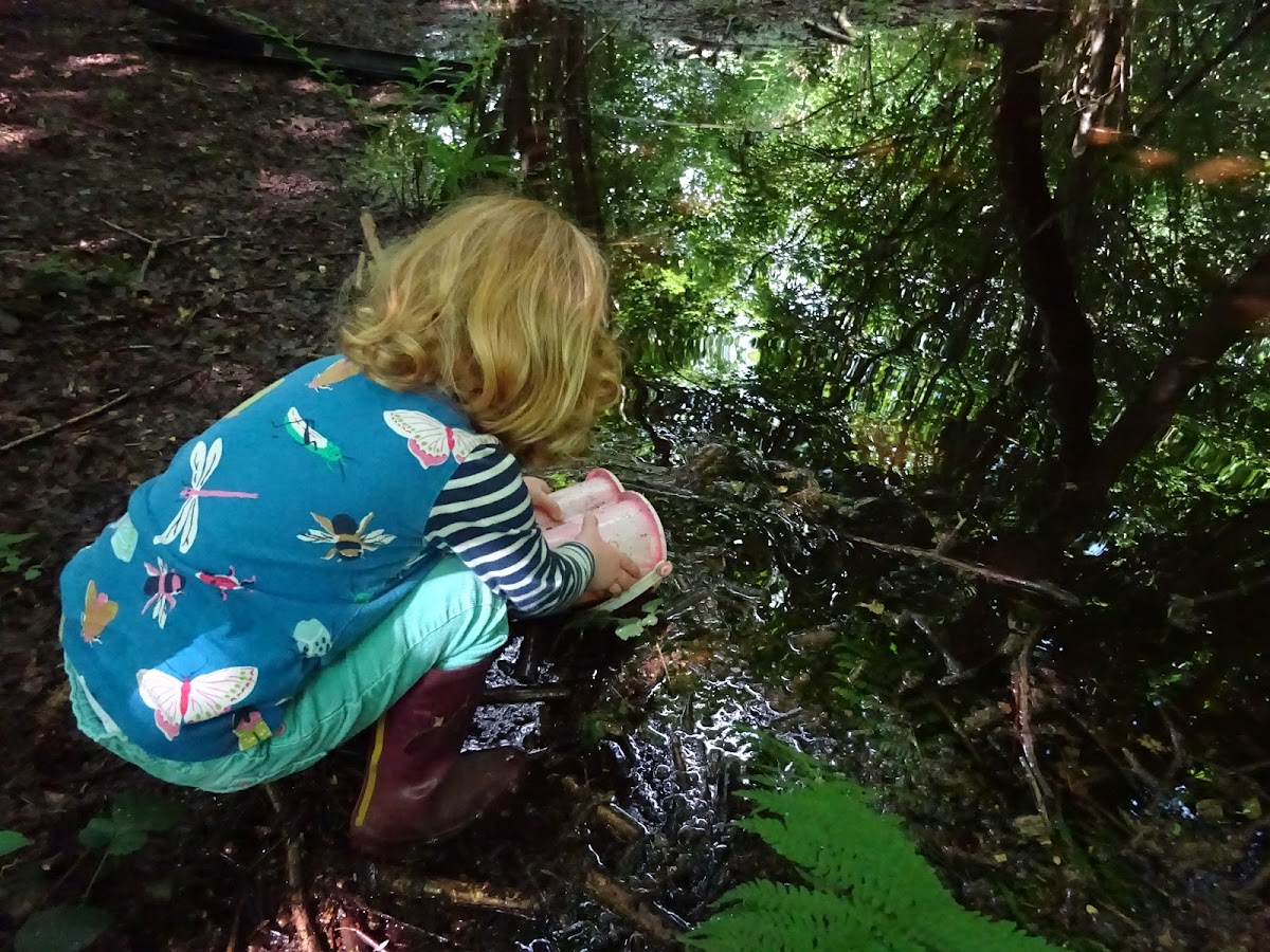 Wheatfen Forest School