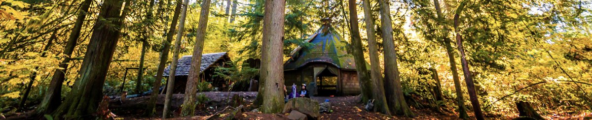 Wilderness Awareness School