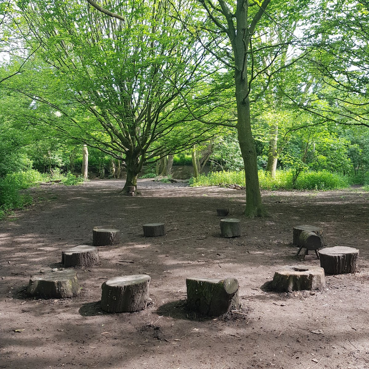 Wilderness Forest School