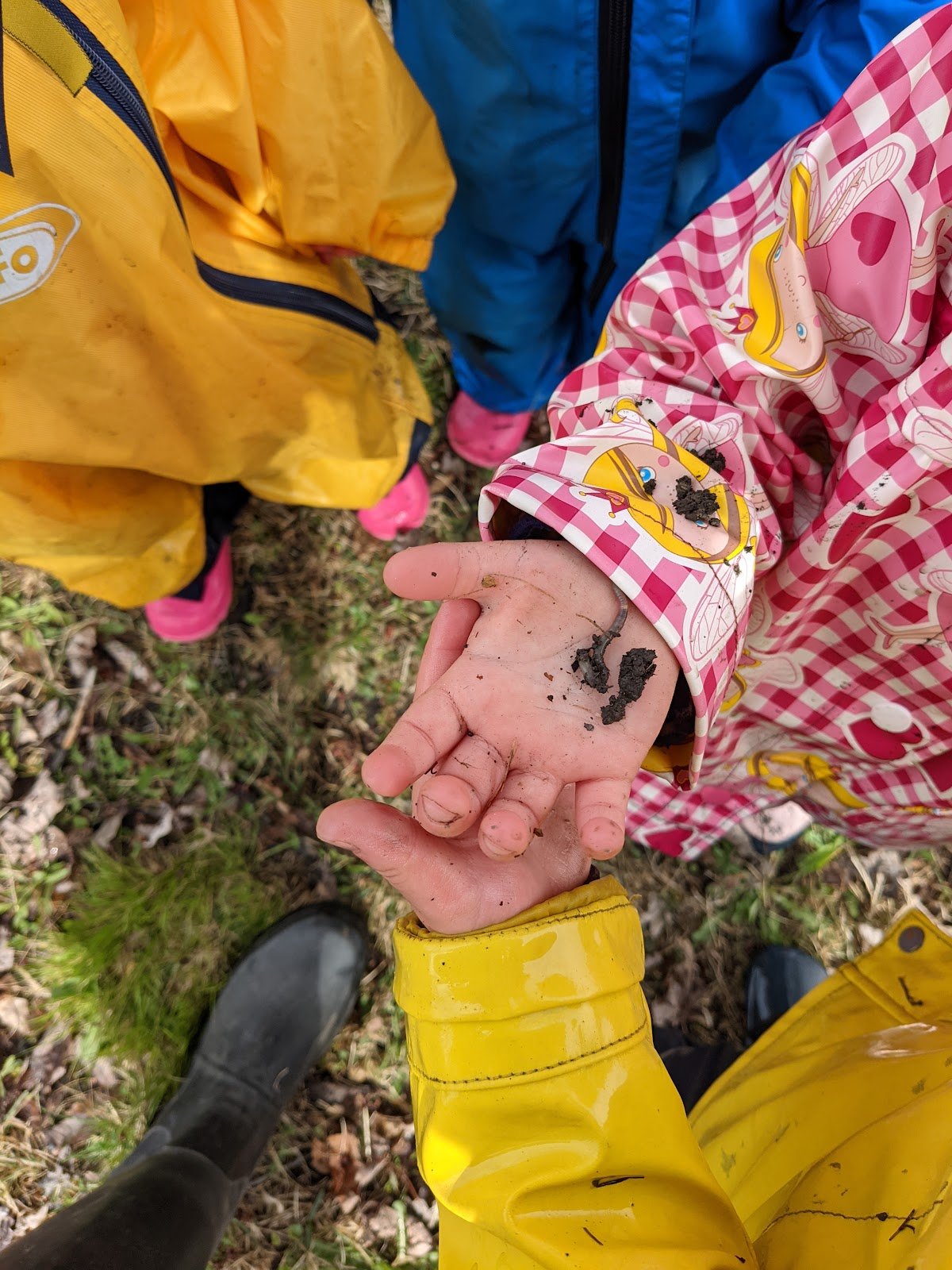 Wildflower Forest And Nature School